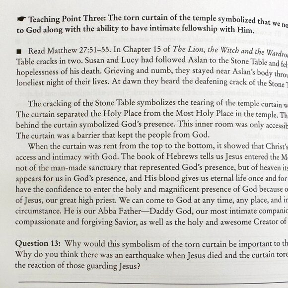The Eternal Truths Of Narnia By Julie Kloster - Bible Studies/Leader's Guide - Picture 7 of 9